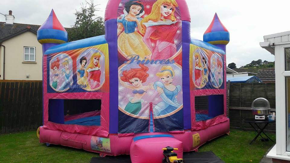 Princess Bouncy Castle hire Holywood Princess Bouncy Castle hire Holywood